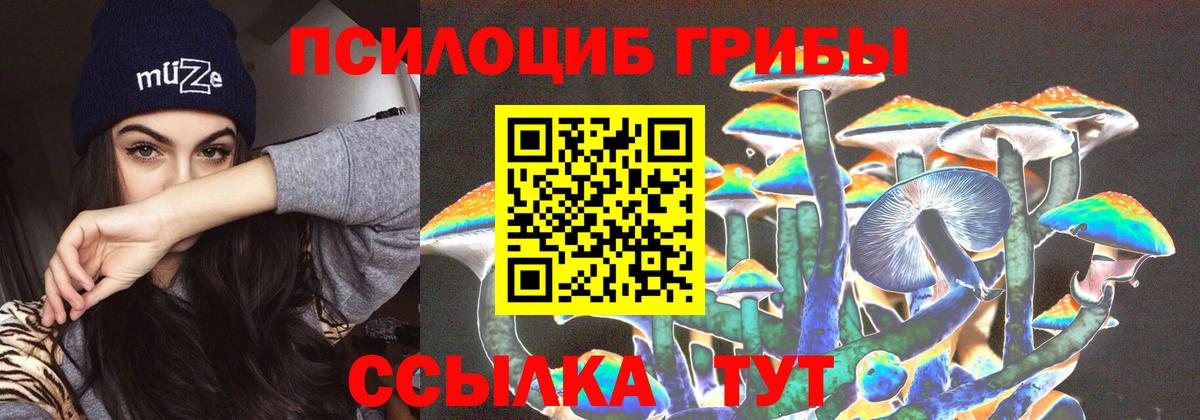 Фурманов  Псилоцибиновые грибы Psilocybe  Вход с VPN 